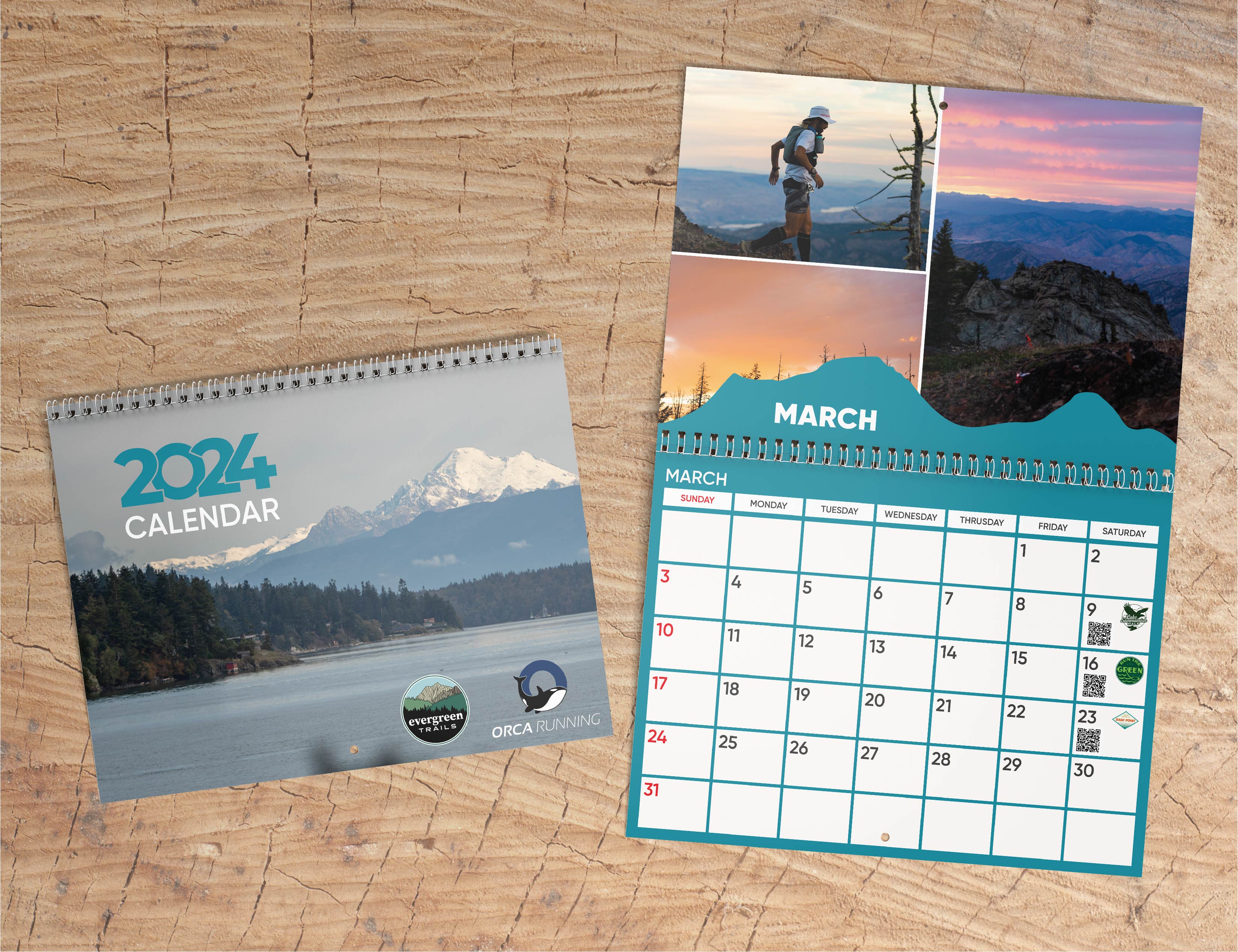 Orca Calendar 2024 Monthly Wall Calendar, A4 Hanging Calendar