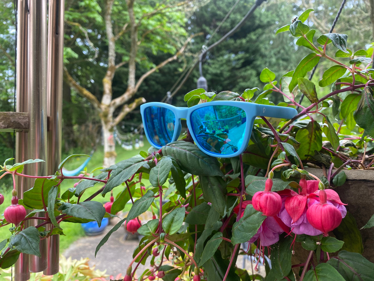 Spyhop Sunnies